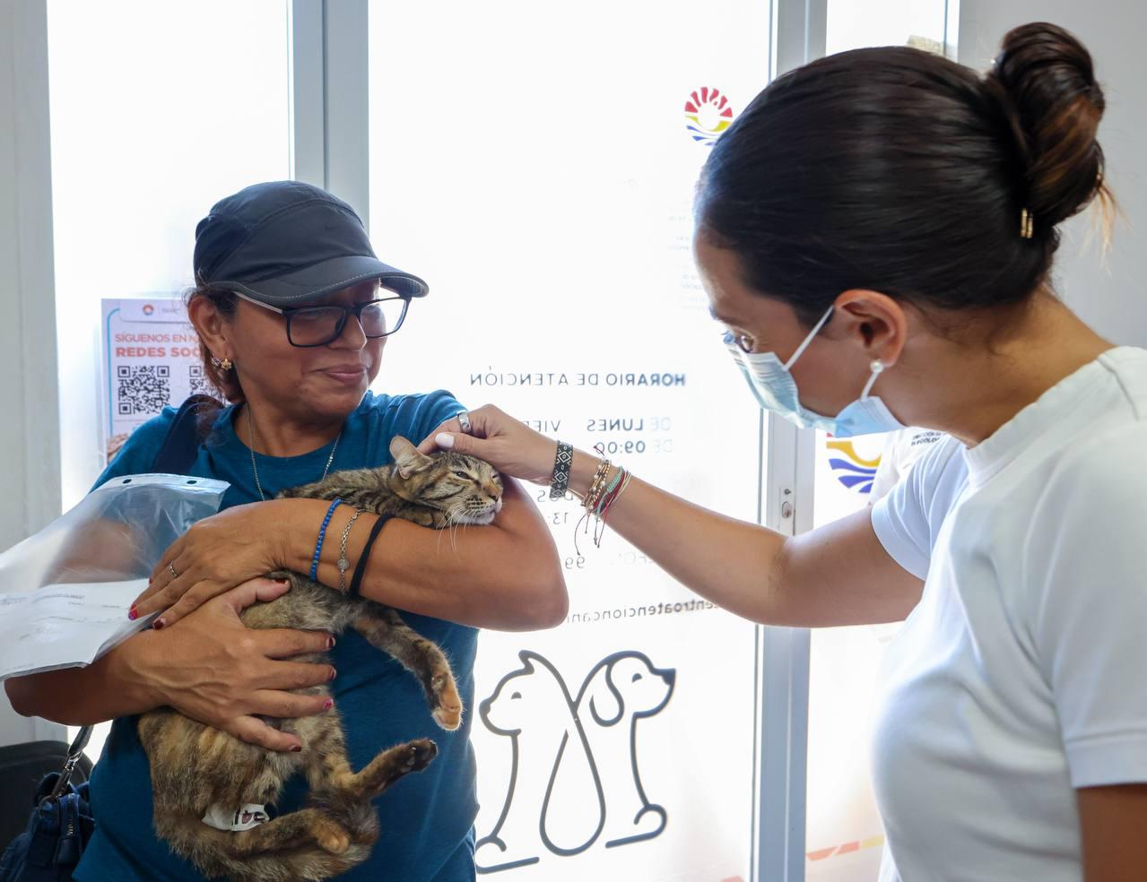 uploads/6/32/01 (2092).Jpeg